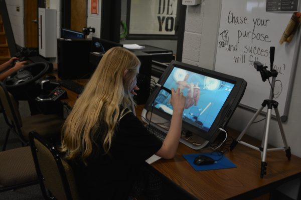 student working on a simulation game