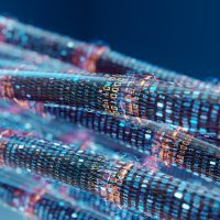 optical fiber